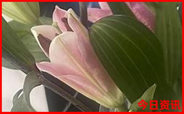 科尔沁草原一日游攻略