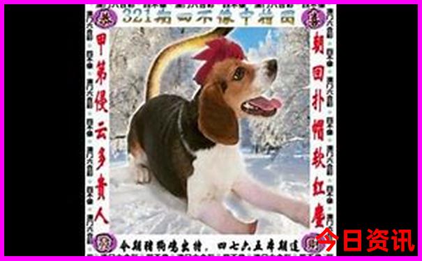 雅典旅游攻略必去景点