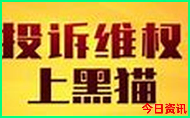 那个城市夏天凉快